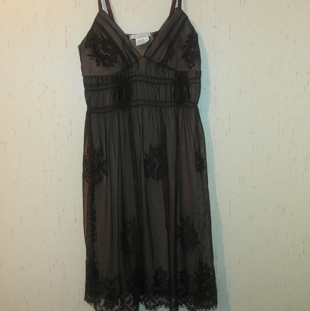 Brown mesh  dress